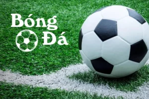 Quy Định Chi Tiết Về Bóng Trong Cuộc Và Bóng Ngoài Cuộc
