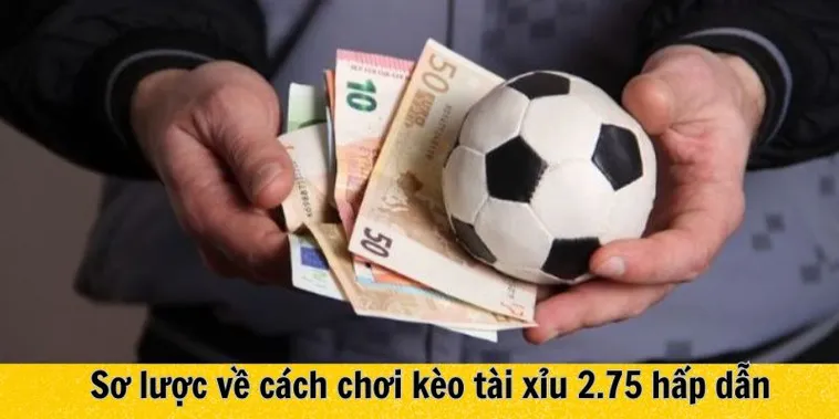 Kinh Nghiệm Soi Kèo 2.75 Trong Bóng Đá Đỉnh Cao Cho Người Mới