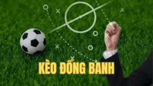 Hướng Dẫn Bí Quyết Soi Kèo Đồng Banh Trong Những Trận Cầu Cân Sức