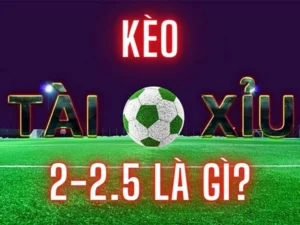 Hướng Dẫn Cách Đọc Kèo 2.25 Chi Tiết Và Dễ Hiểu Nhất Cho Người Mới