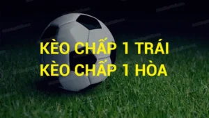 Hướng Dẫn Chi Tiết Cách Đọc Và Phân Tích Kèo Chấp 1 Hiệu Quả Nhất
