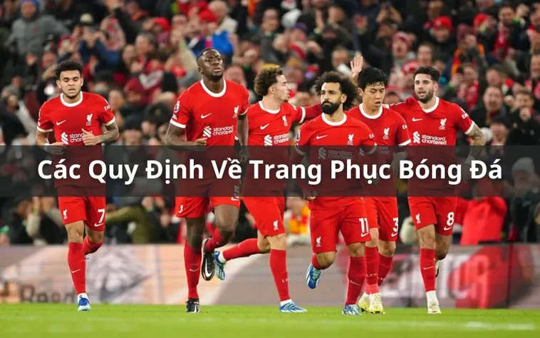 Quy Định Về Trang Phục Bóng Đá Chuyên Nghiệp Theo Tiêu Chuẩn